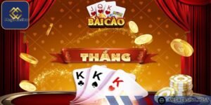 Cần có 3 cây tú lơ khơ mạnh để thắng bài cào